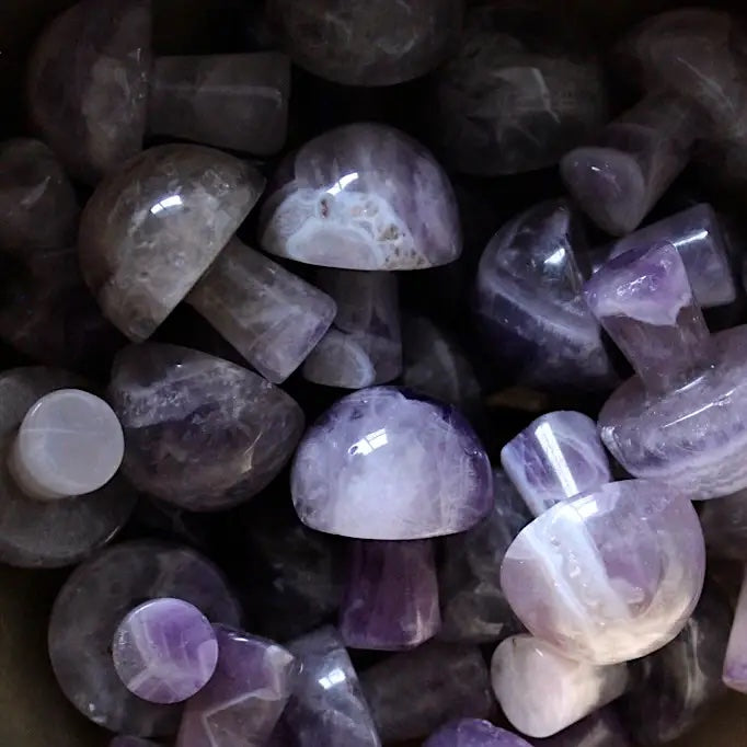 Mini Crystal Mushrooms, Amethyst