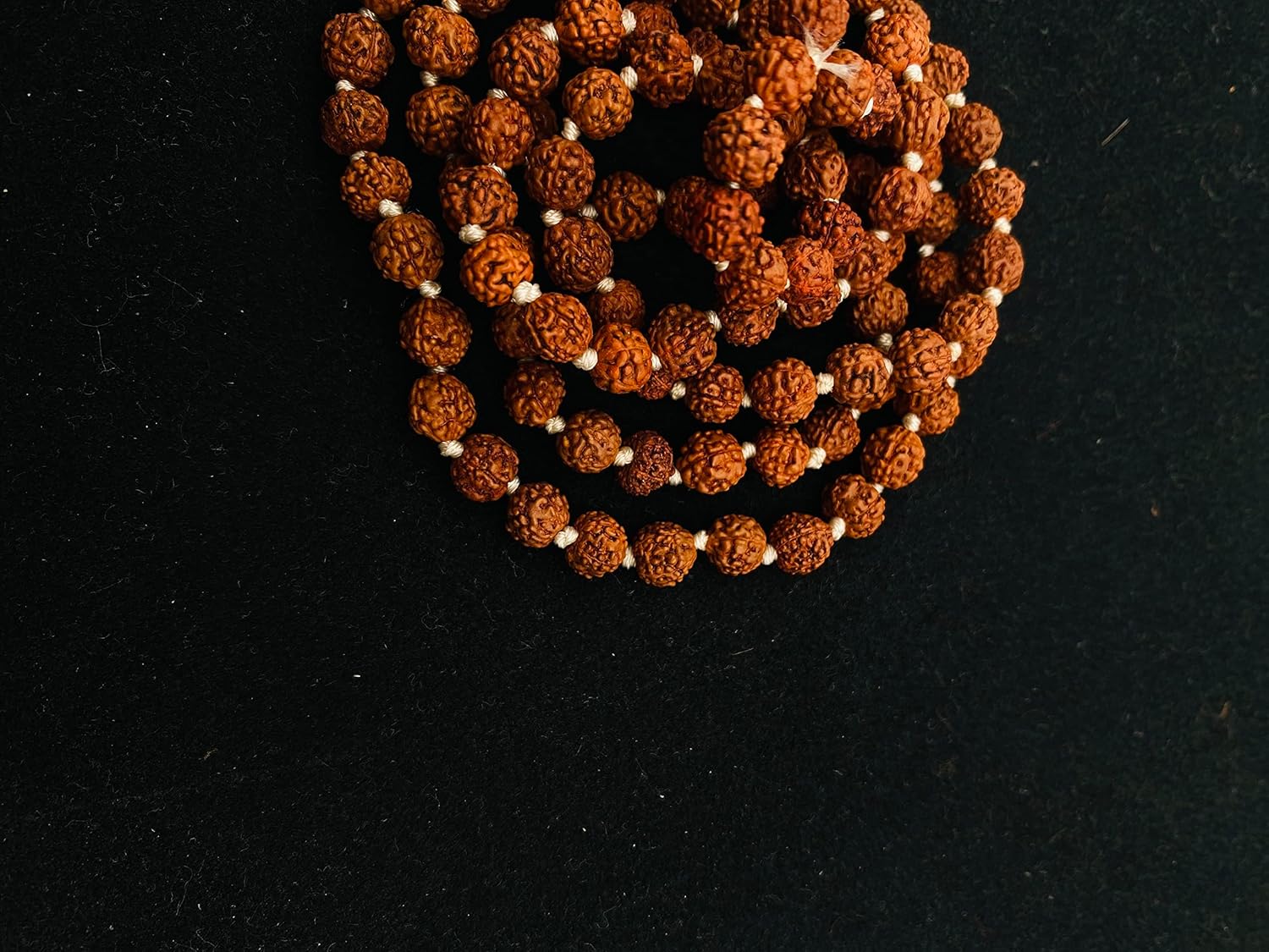 PRG Authentic Devotional Necklace(5 Mukhi Rudraksha Mala) for Chanting