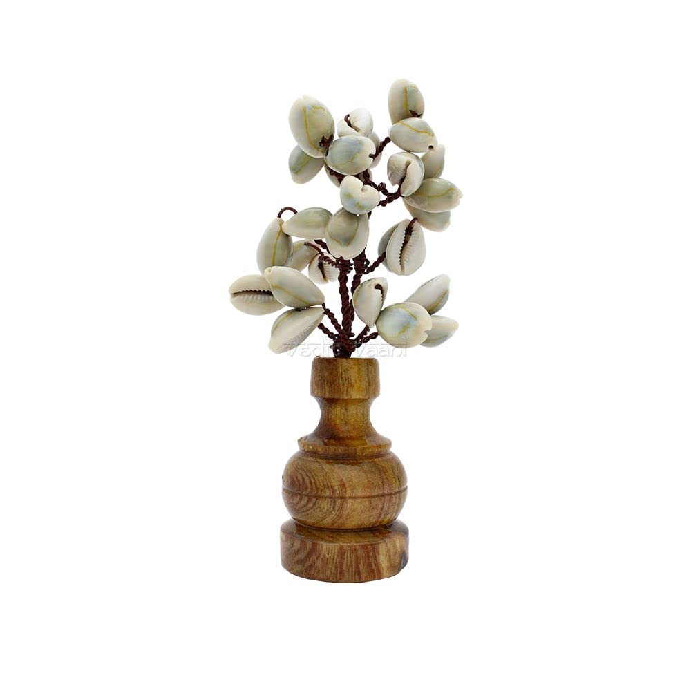 PRG Natural White Shells Tree with Wooden Base for Home Decor